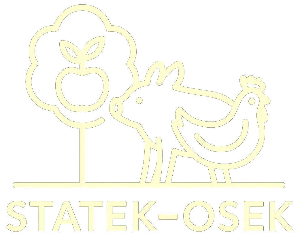 Statek-Osek.cz